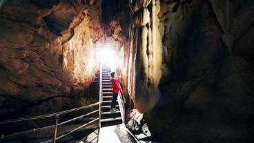 観光スポット / 13