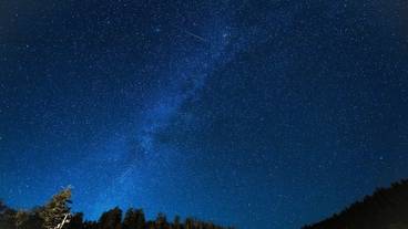 施設からの眺望 / 32