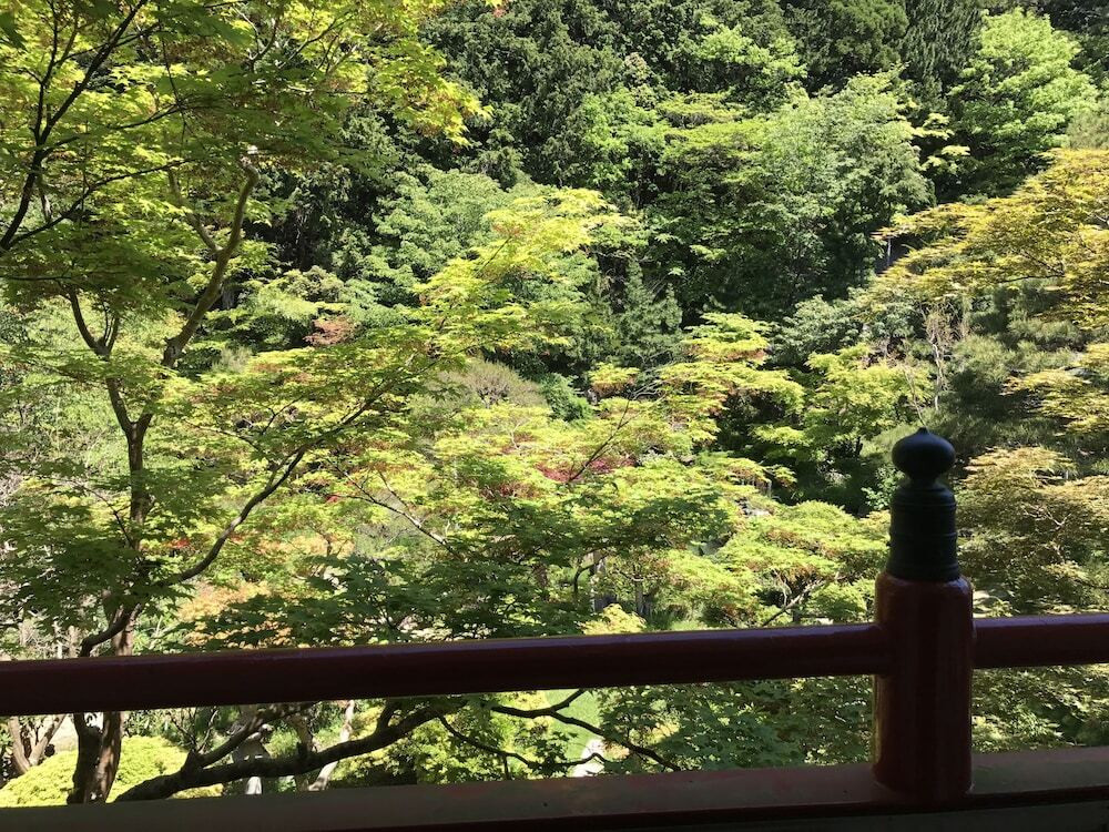 施設からの眺望