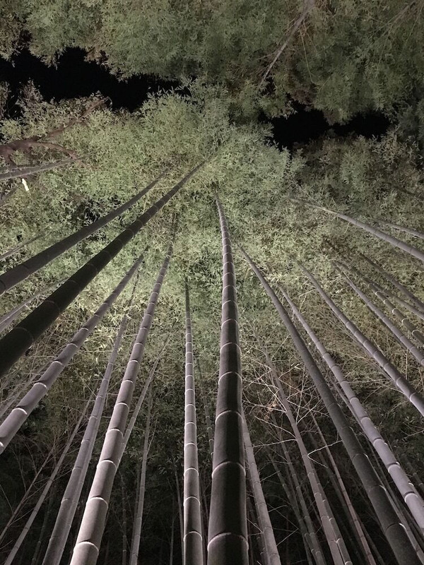 施設からの眺望