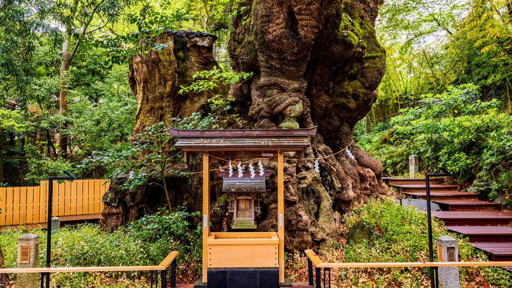 宿近くの名所
「来宮神社」へ / 2