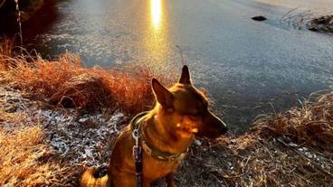 ランド ビュー / 20