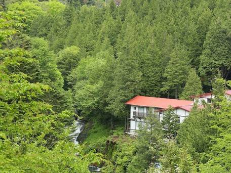 山の宿 明治温泉 / 4