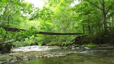 施設の敷地 / 21