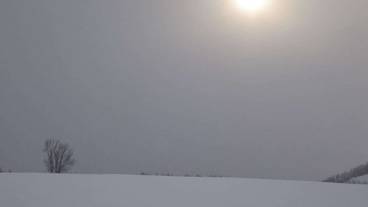 マウンテン ビュー / 23