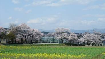 エコツアー / 10