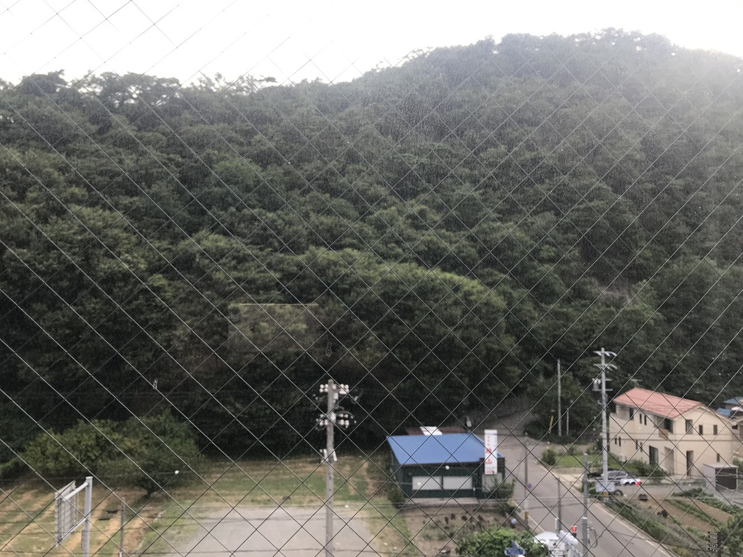 部屋からの風景