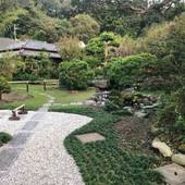 鎌倉 古今（神奈川県 旅館）：ゆったり散策したい庭園。四季折々の植物、錦鯉が泳ぐ池などフォトスポットが満載。 / 5