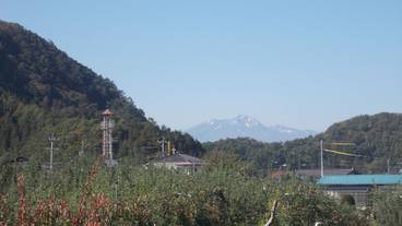 マウンテン ビュー / 31