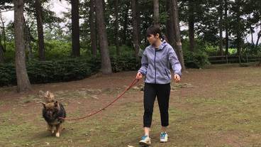 子供用の遊び場 - 屋外 / 6