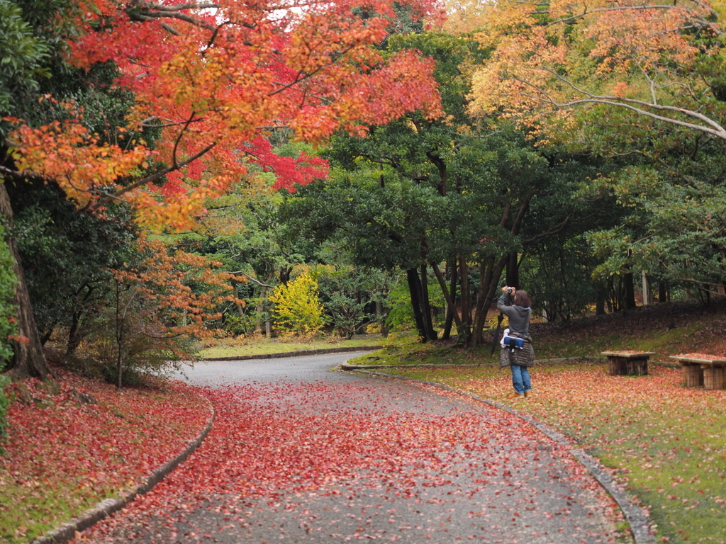 今年は長〜く紅葉を楽しんで♪3434702