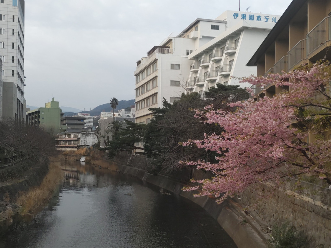 松川にかかる「いでゆ橋」からみた伊東園ホテル。