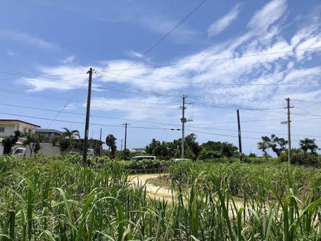 Agaitandygama 伊良部島 / 2