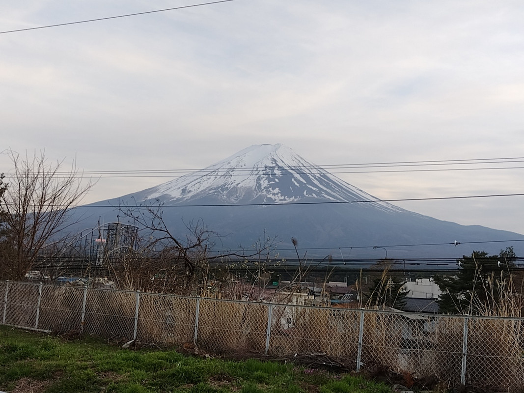 近くのスーパーの駐車場から見えた