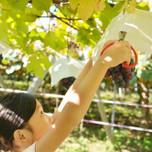 【甲府】子連れでのんびり♪家族旅行におすすめのホテル・旅館9選