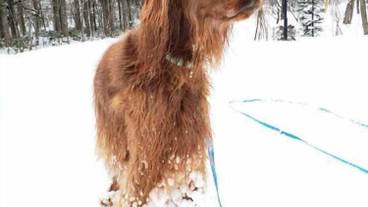 スノー スポーツとスキー / 2