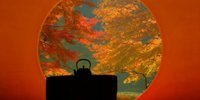 桜やあじさい、紅葉…北鎌倉「明月院」で季節に向き合う一人旅