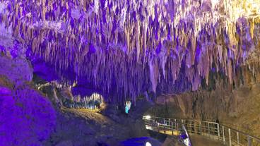 おきなわワールド(3) / 3