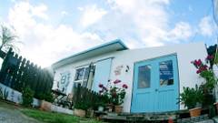 オキナワン スイートホーム T-8