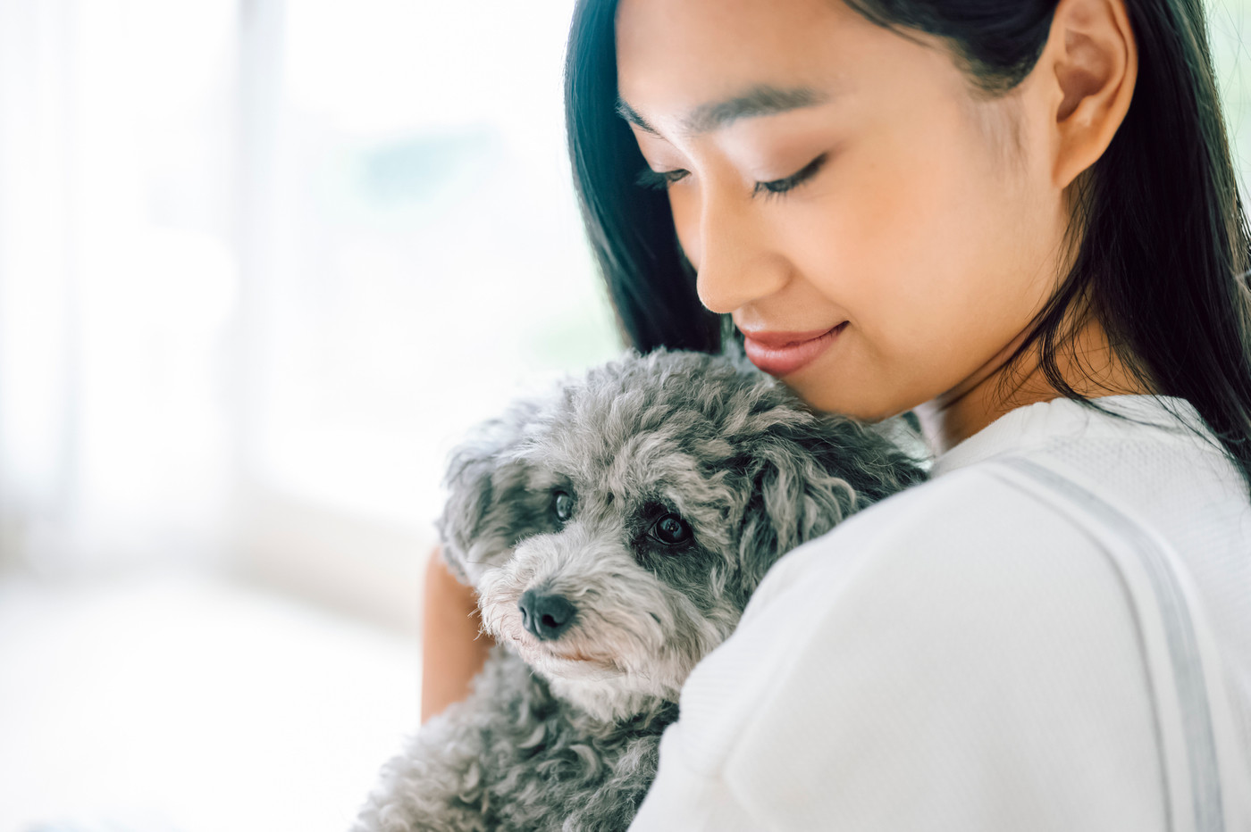 犬のいる暮らし 女性