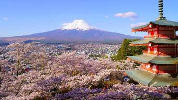 施設の敷地 / 16