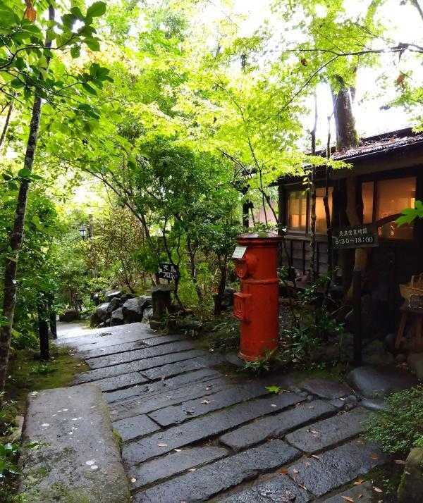emmay0421さんの写真 / 1