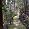 saaki0914さんの写真