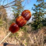 喫茶小坊　一福（イップク）