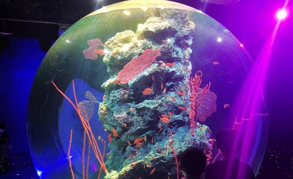 新感覚の水族館！
「atoa」で非日常体験 / 1