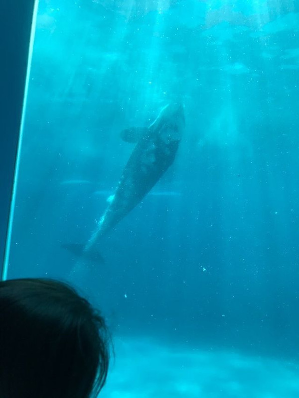 omaipastaさんの写真 / 3