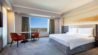 Superior Deluxe Queen (Airport View)