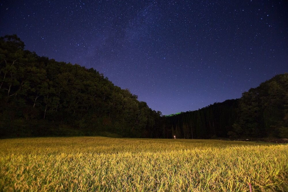 施設からの眺望