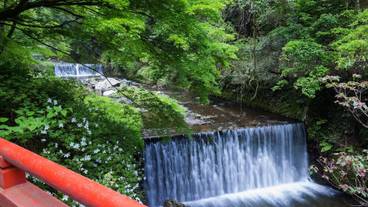 部屋からの景観 / 4