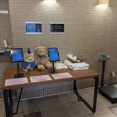 SAKURA SANDS HOTEL（サクラサンズホテル）（大阪府 ビジネスホテル） / 3