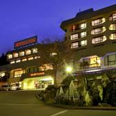 越後湯沢温泉 湯沢グランドホテル（新潟県）（新潟県 旅館） / 5