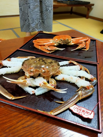 「まつむら旅館」 料理 145253146 刺身松葉ガニと茹で松葉ガニ