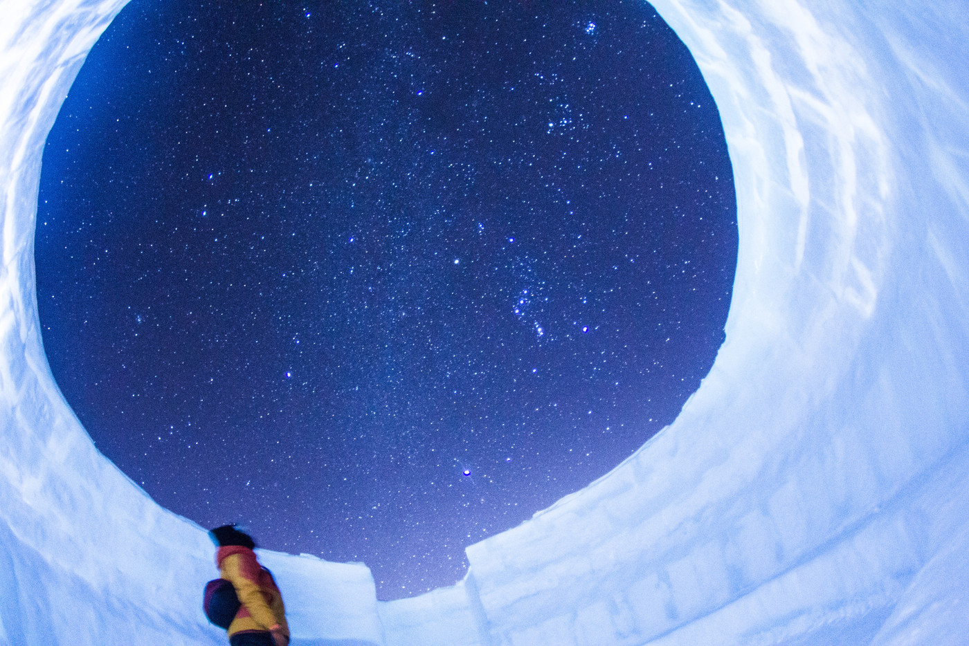 大人になってもクリアに残る、家族の「澄み切った思い出」を。1782868