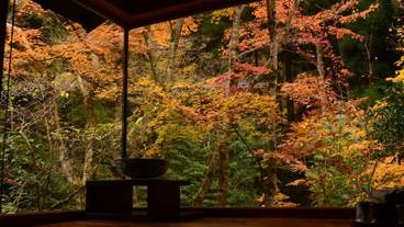 部屋からの景観 / 25