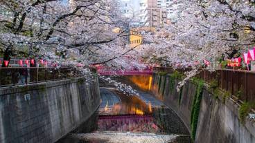 シティ ビュー / 15