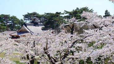 観光スポット / 13