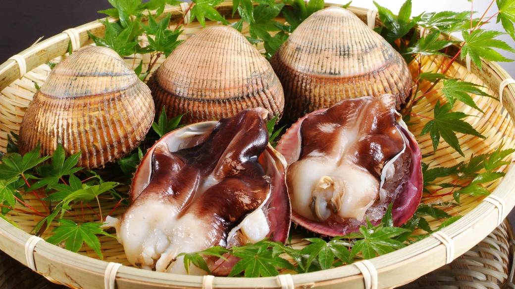 素材一例 あさりや岩ガキ / 2