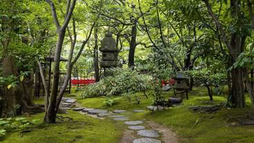 観光スポット / 20