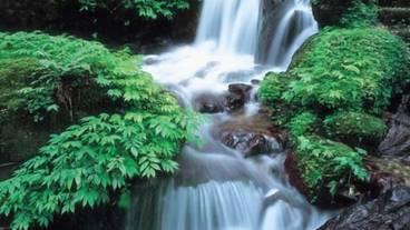 施設の敷地 / 14