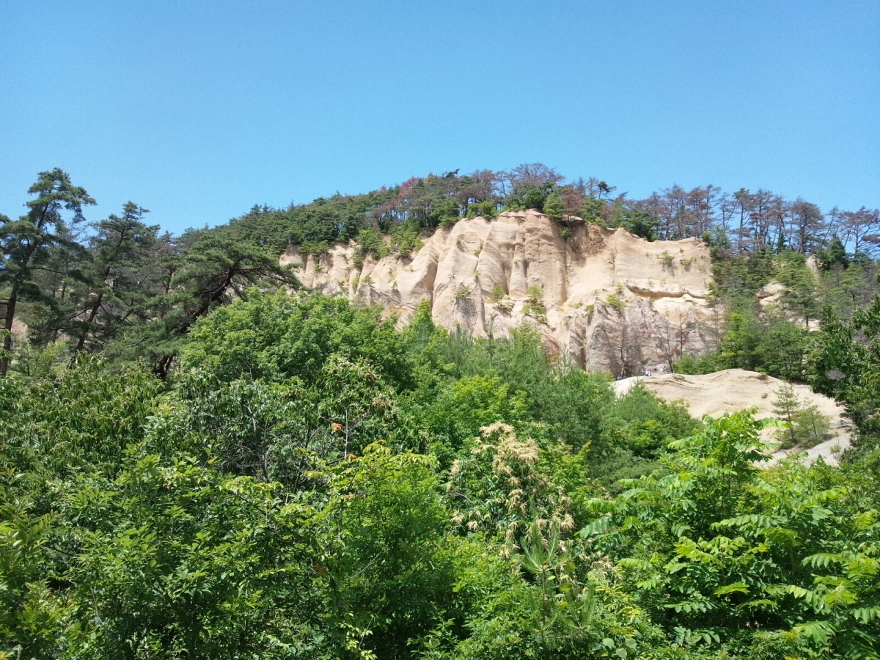 あぜみち山荘781442