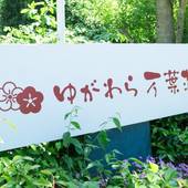 フォレストリゾート ゆがわら万葉荘（神奈川県 旅館） / 5