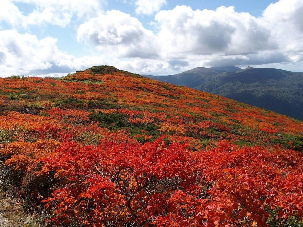 マウンテン ビュー