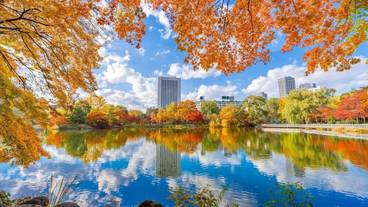 シティ ビュー / 22