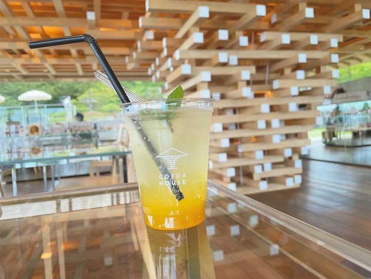 damedayo_さんの写真 / 2