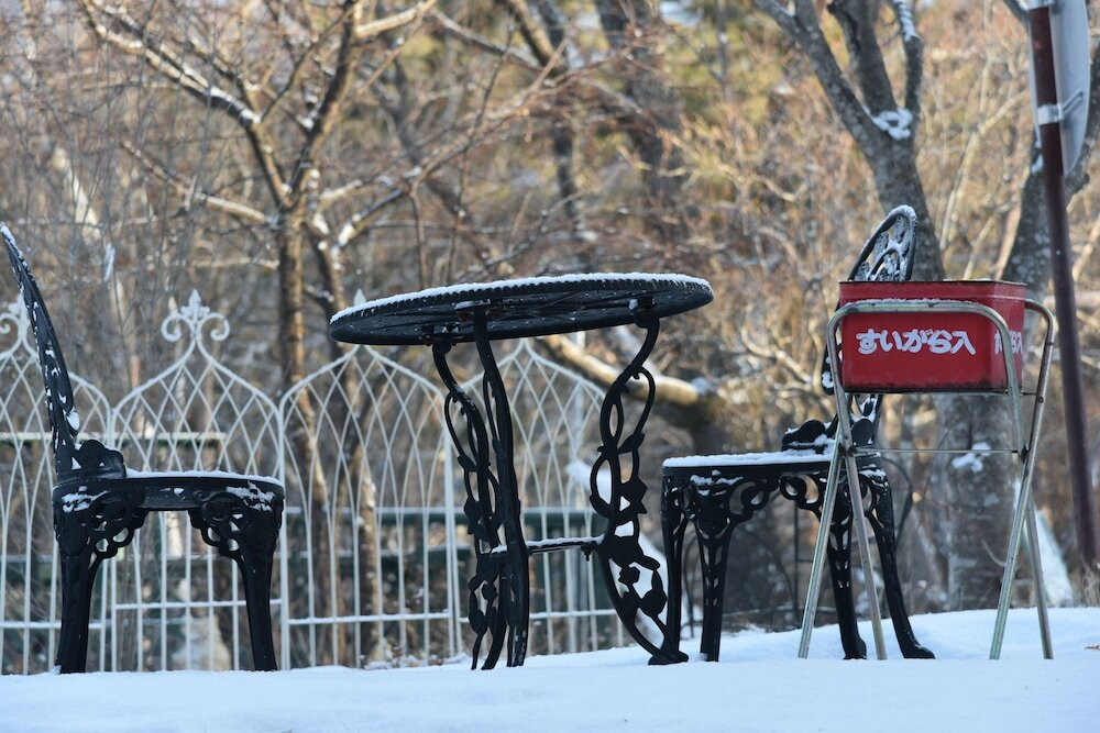 テラス / パティオ