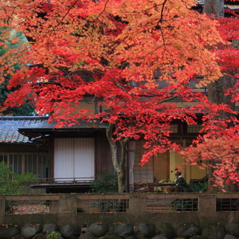 ノスタルジックな世界に浸って……。3481035